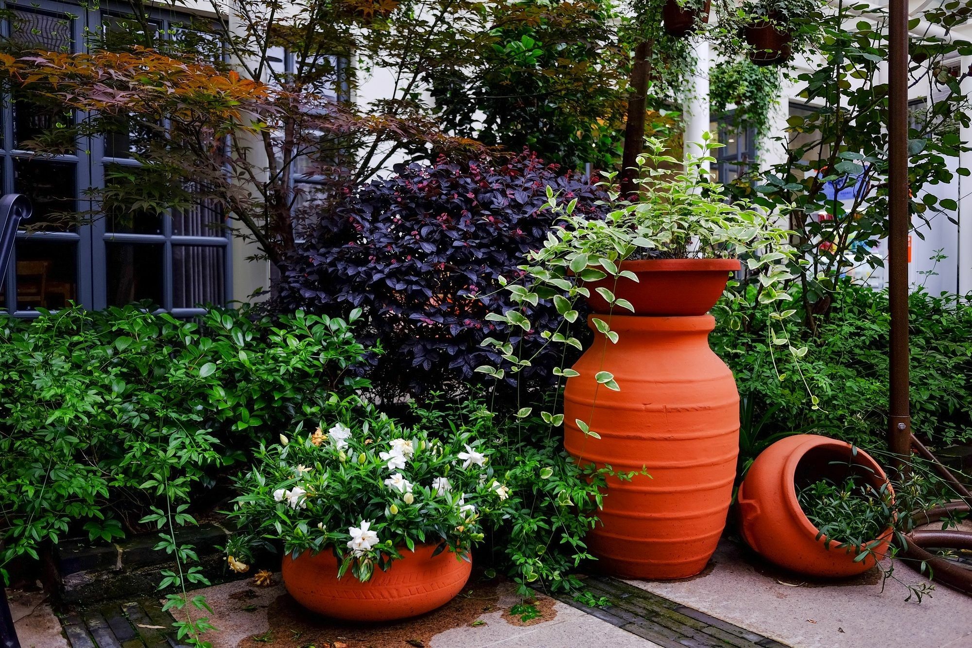 Suzhou Homa Garden Hotel Bagian luar foto