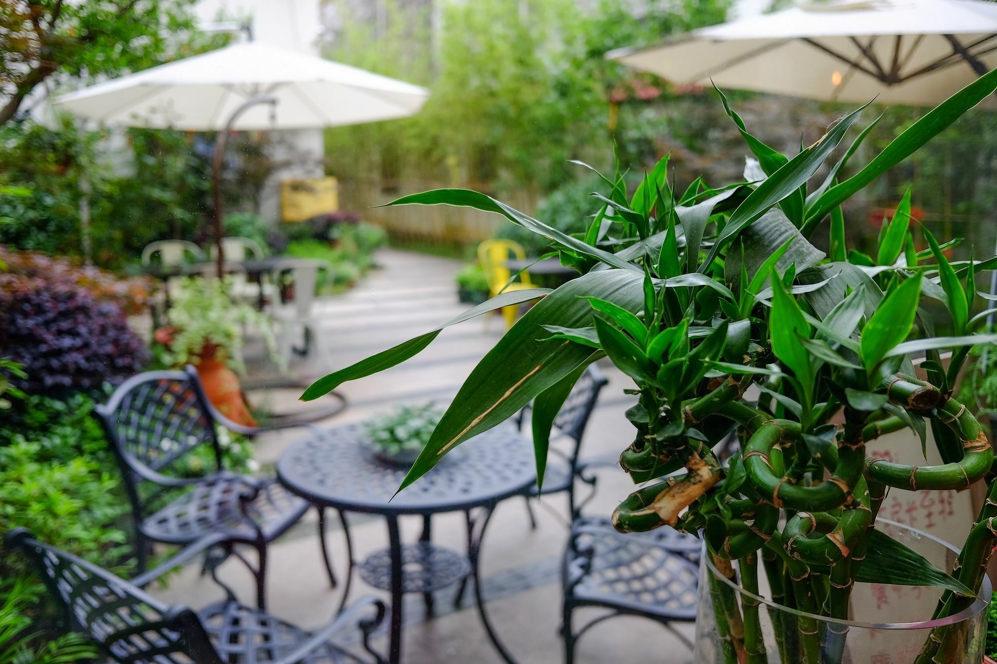 Suzhou Homa Garden Hotel Bagian luar foto